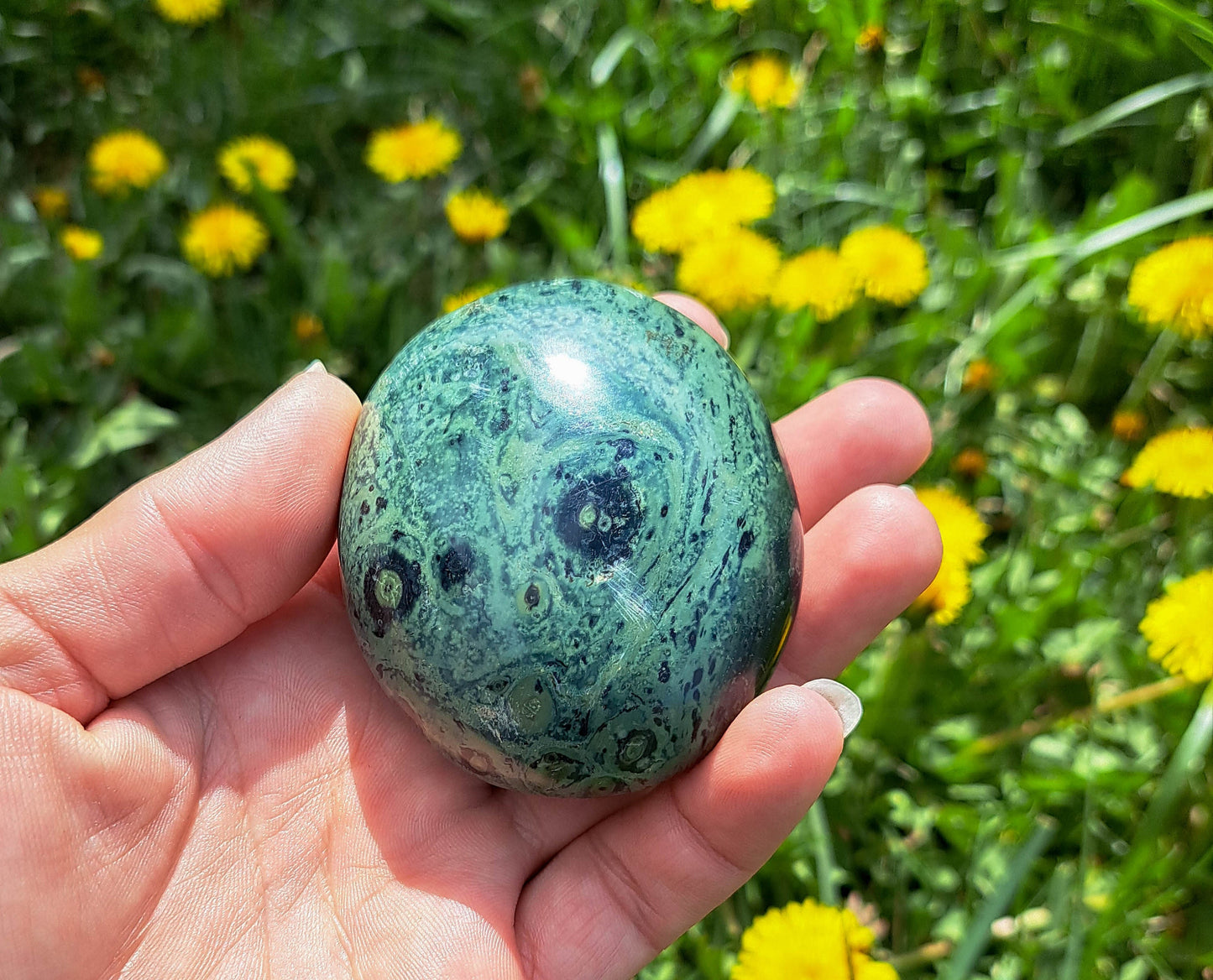 Kambaba Jasper Palm Stone - Natural Energy Stone for Chakra Balance and Harmony