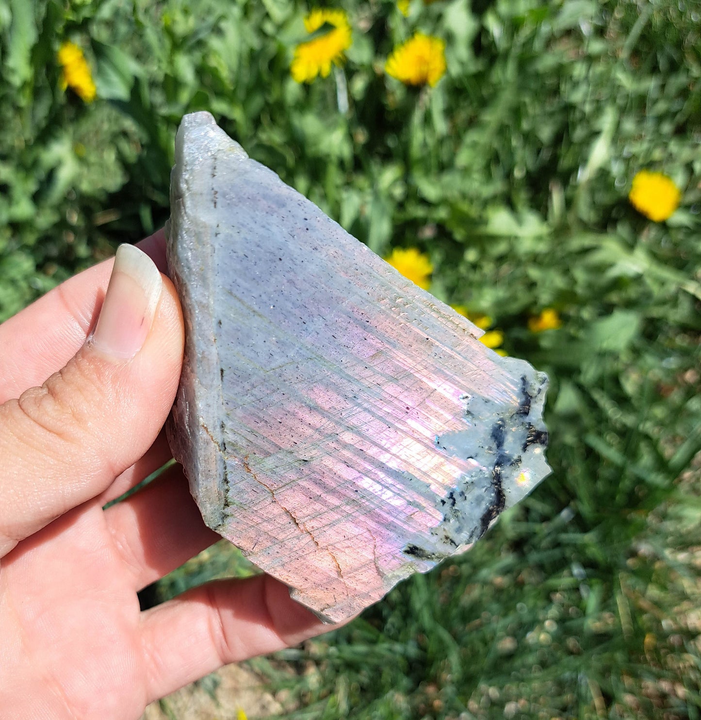 Natural Labradorite Crystal - Unique Statement Piece for Protection and Intuition