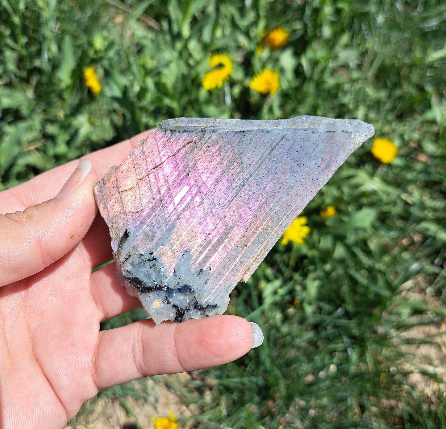 Natural Labradorite Crystal - Unique Statement Piece for Protection and Intuition