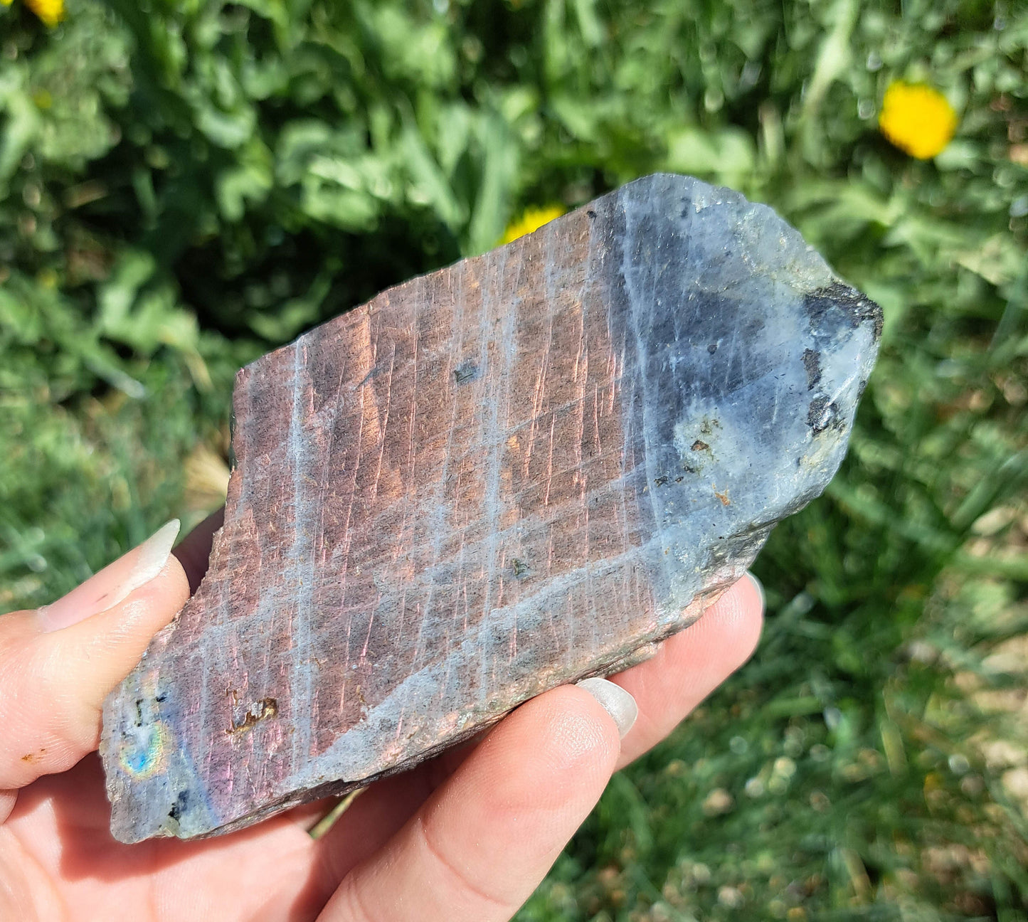 Natural Labradorite Freeform: A Statement Piece for Spiritual Healing or Home Décor