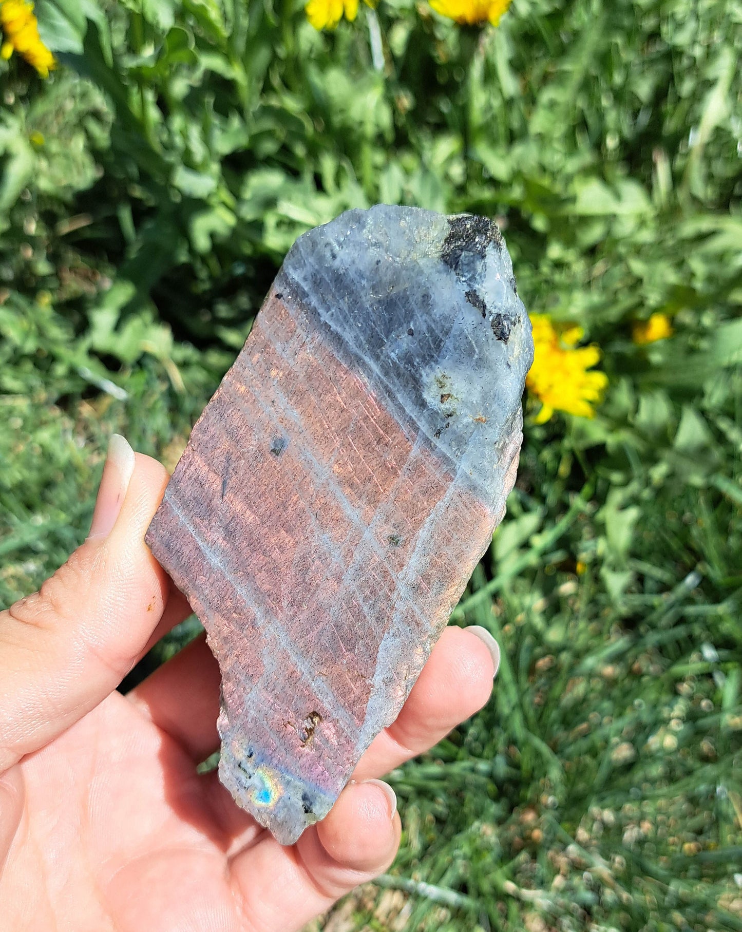 Natural Labradorite Freeform: A Statement Piece for Spiritual Healing or Home Décor