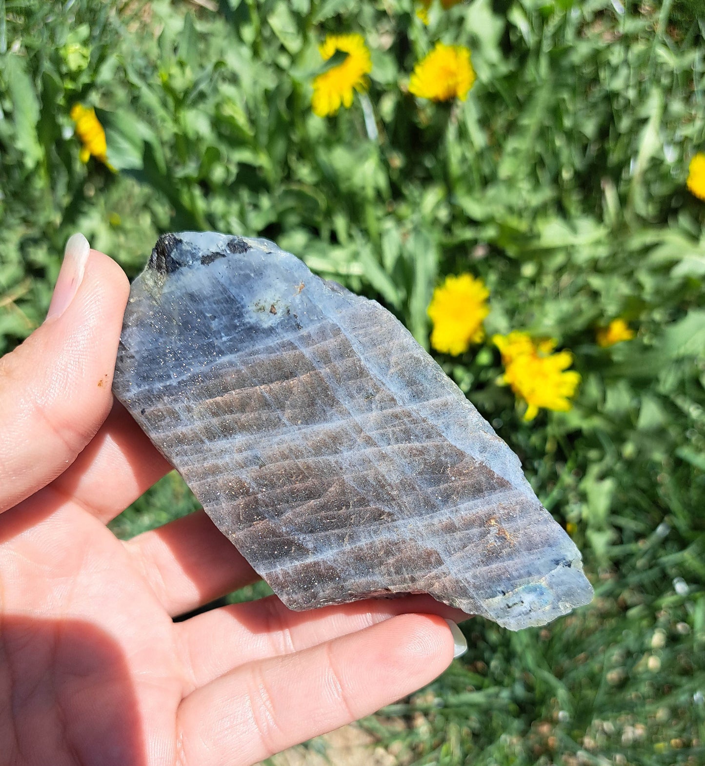 Natural Labradorite Freeform: A Statement Piece for Spiritual Healing or Home Décor