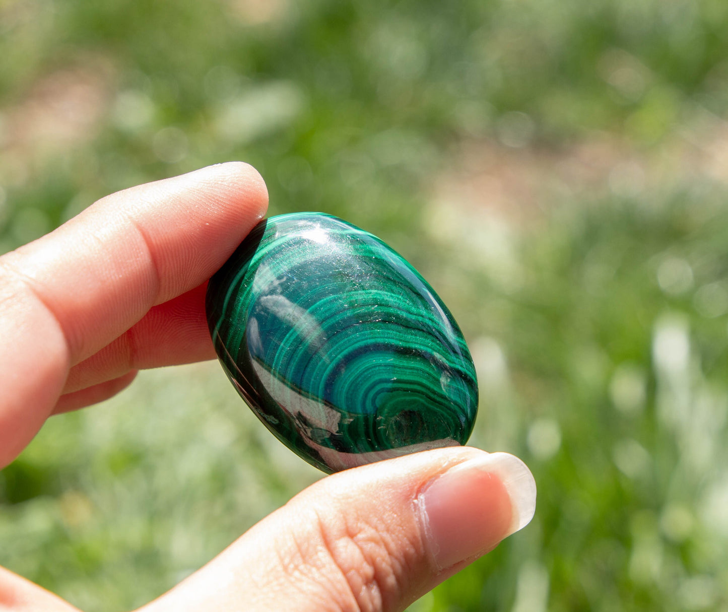 Natural Malachite Palm Stone - Transformative Crystal for Change and Protection