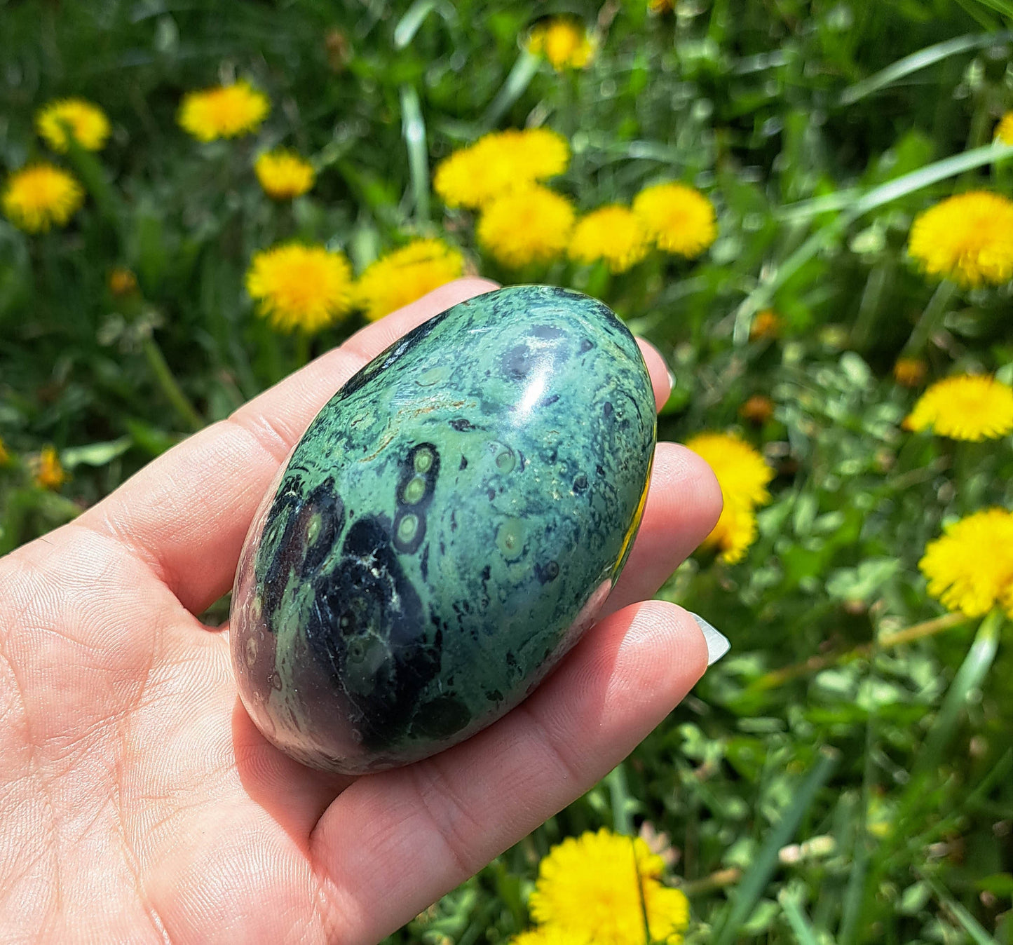 Kambaba Jasper Palm Stone - Natural Energy Stone for Chakra Balance and Harmony