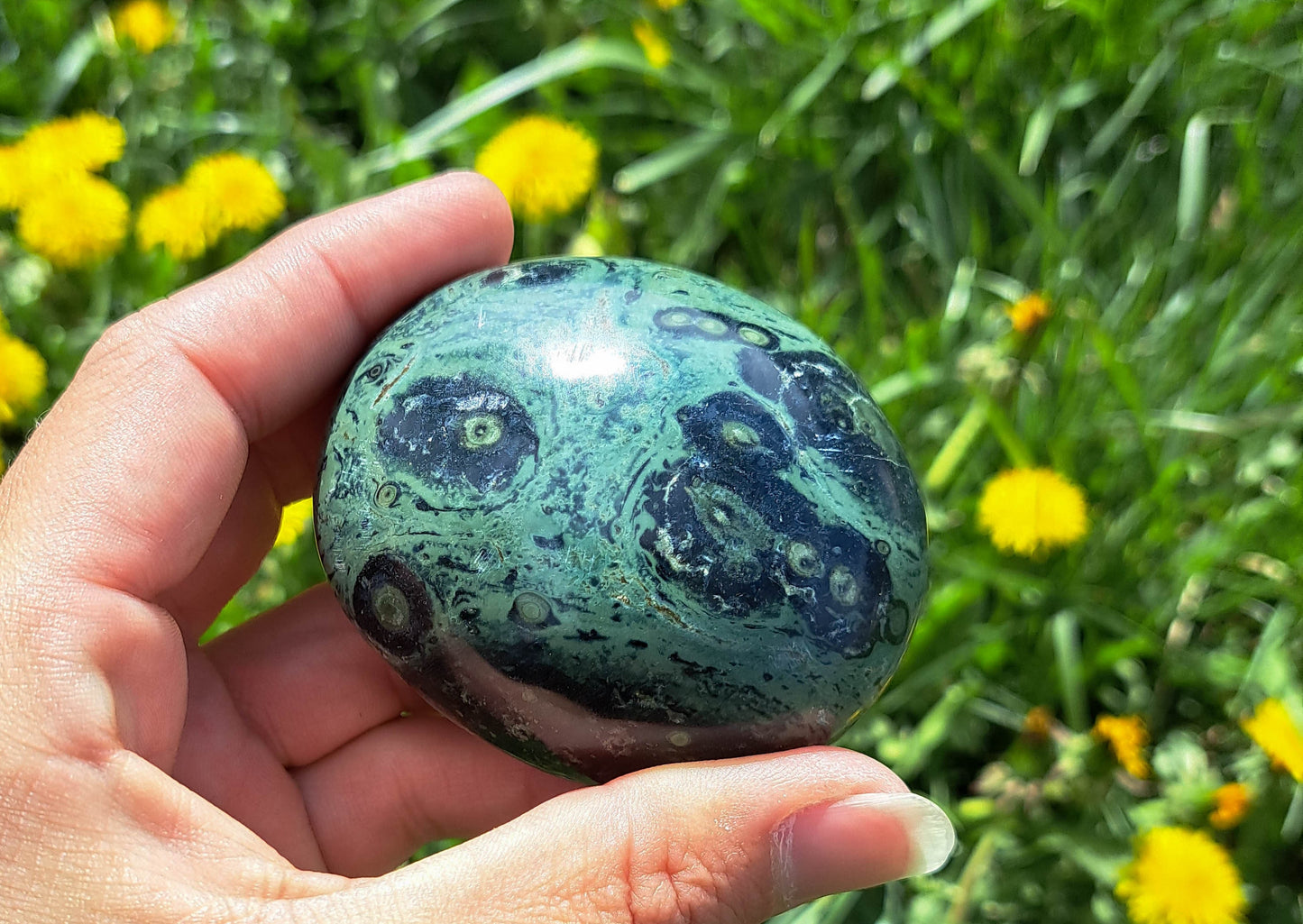 Kambaba Jasper Palm Stone - Natural Energy Stone for Chakra Balance and Harmony