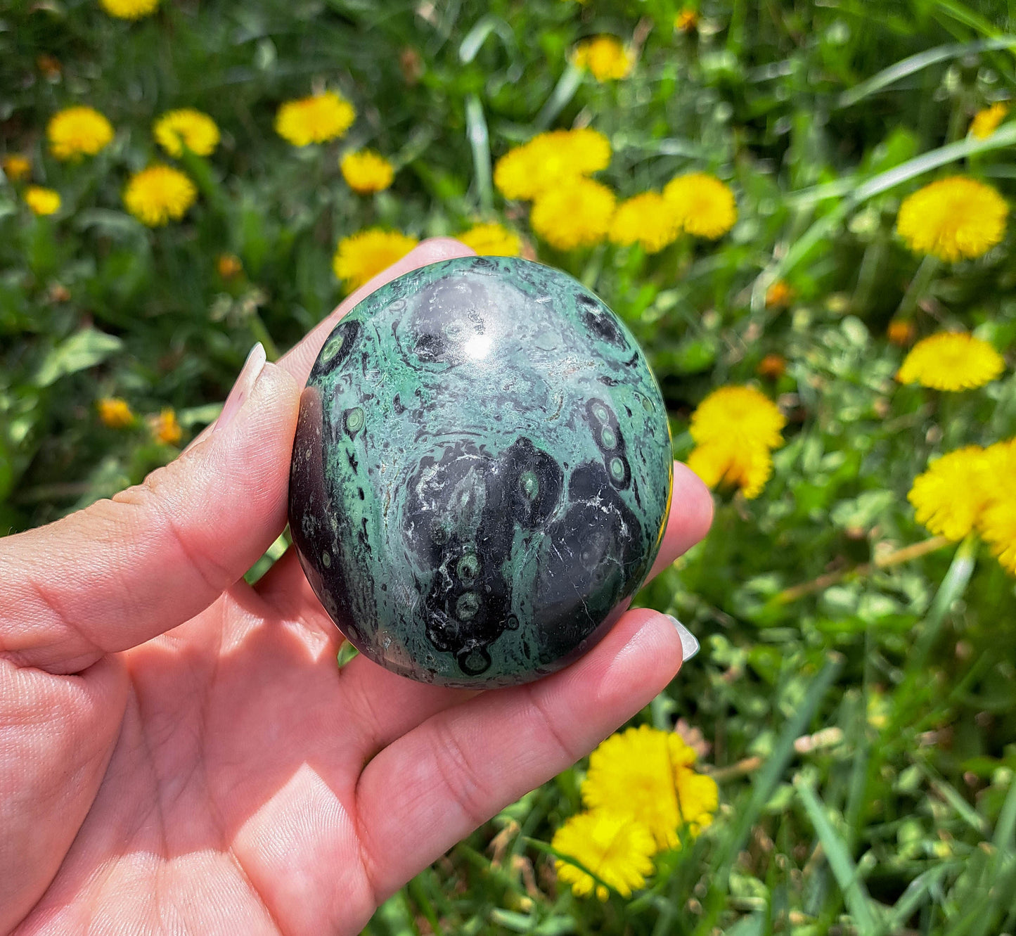 Kambaba Jasper Palm Stone - Natural Energy Stone for Chakra Balance and Harmony
