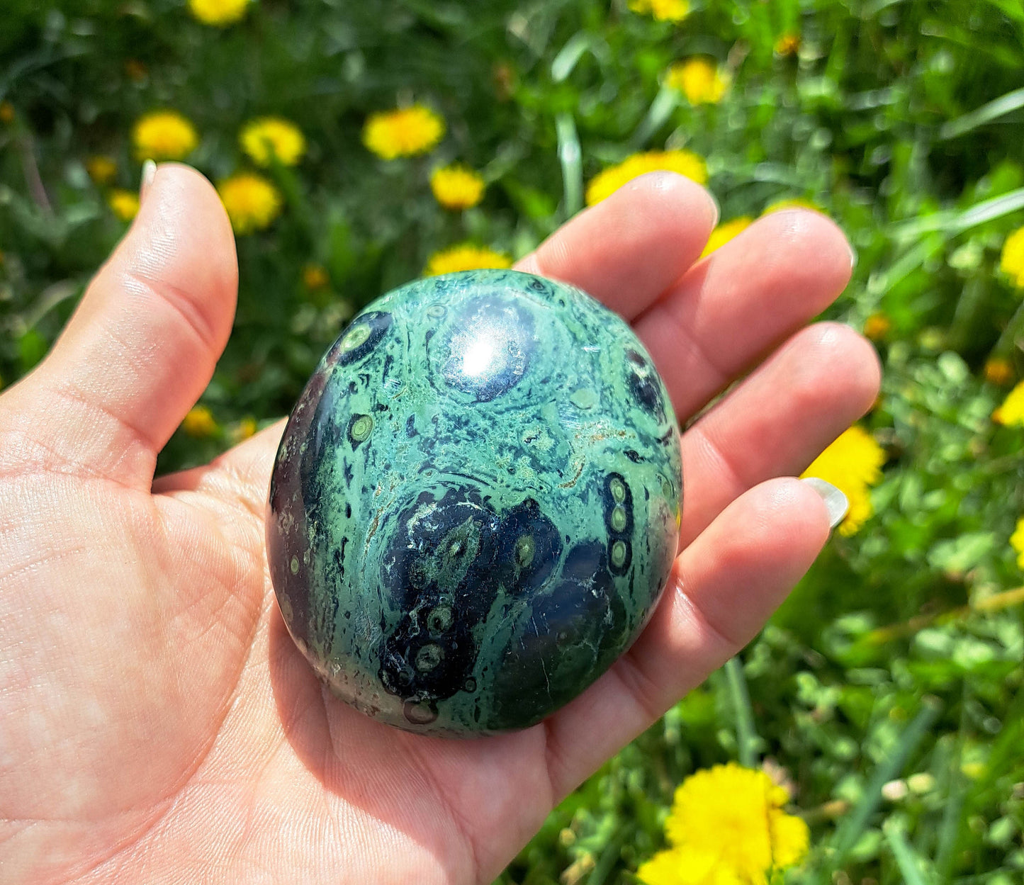 Kambaba Jasper Palm Stone - Natural Energy Stone for Chakra Balance and Harmony