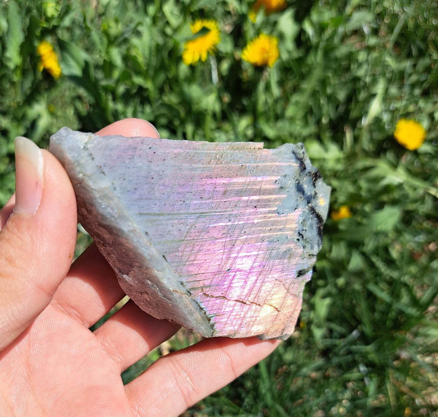 Natural Labradorite Crystal - Unique Statement Piece for Protection and Intuition