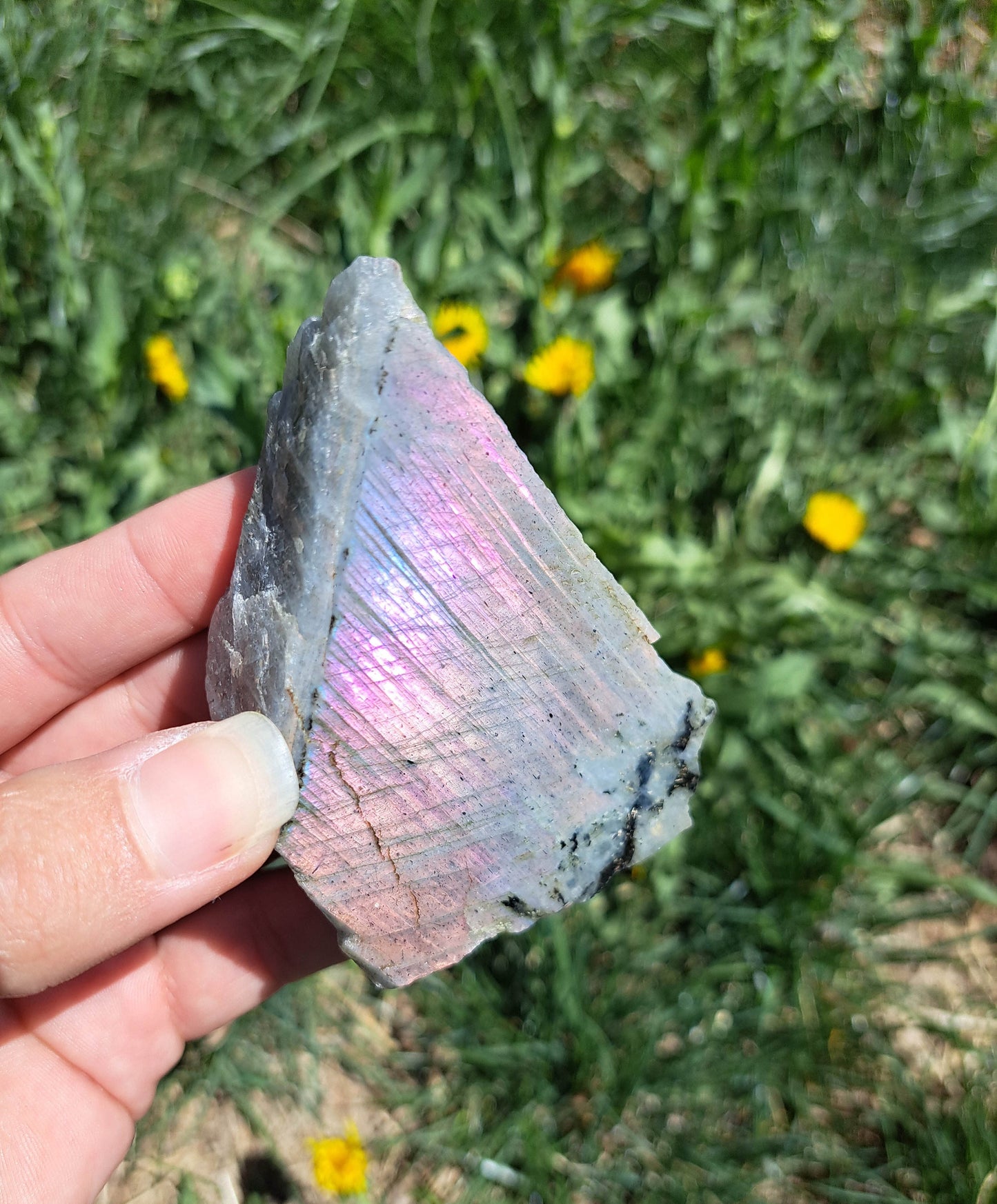 Natural Labradorite Crystal - Unique Statement Piece for Protection and Intuition