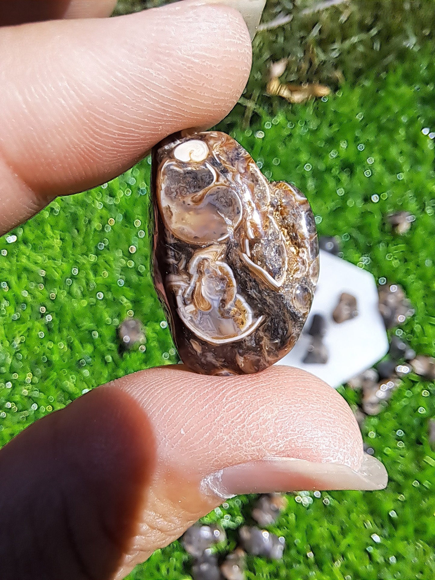 Natural Turritella Agate Crystal Tumble - Unique Fossil for Collectors and Spiritual Enthusiasts