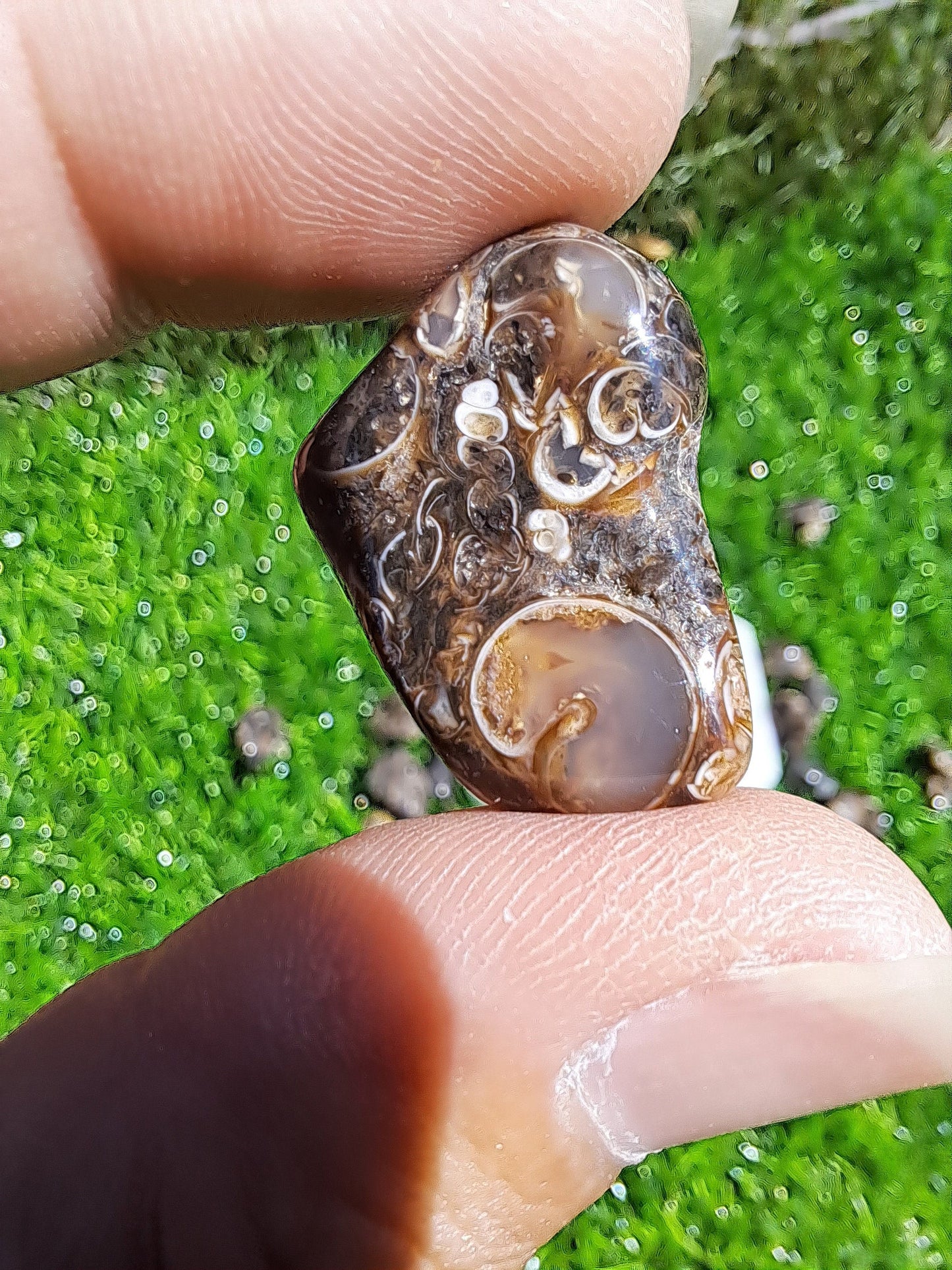 Natural Turritella Agate Crystal Tumble - Unique Fossil for Collectors and Spiritual Enthusiasts
