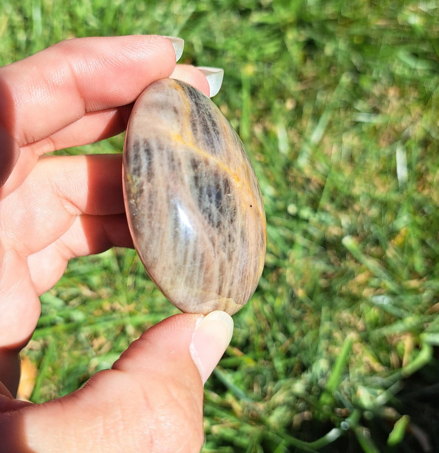 Black Moonstone Palm Stone - Balance, Harmony, and Protection