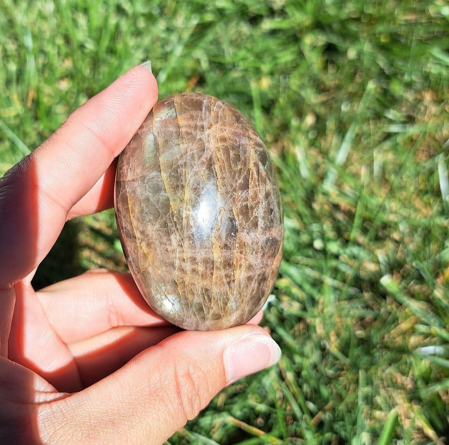 Piedra de palma de piedra lunar negra: meditación, intuición, protección