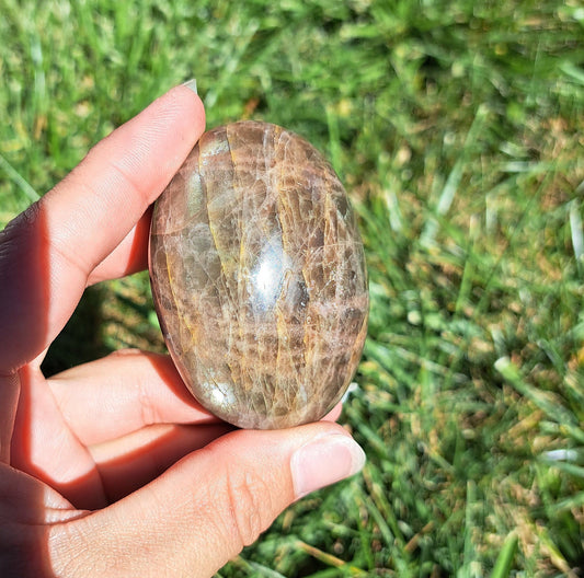 Black Moonstone Palm Stone - Meditation, Intuition, Protection