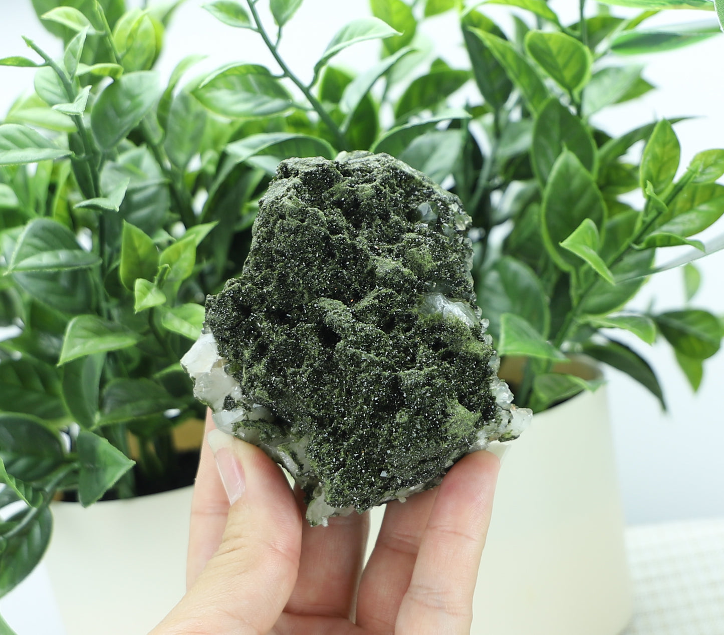 Epidote in Quartz – Mossy Crystal Cluster | Fairy Vibes | Nature Sourced