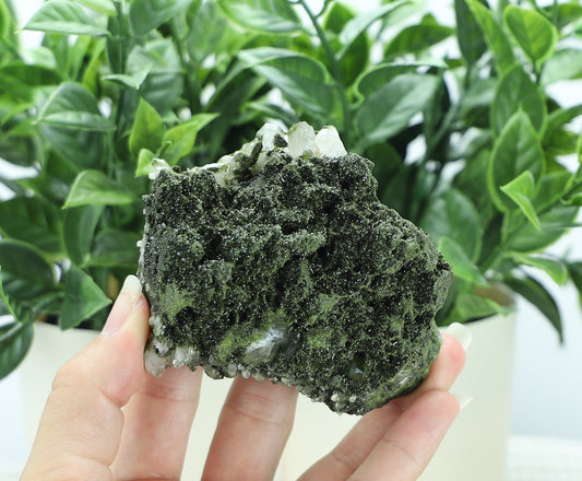 Epidote in Quartz – Mossy Crystal Cluster | Fairy Vibes | Nature Sourced
