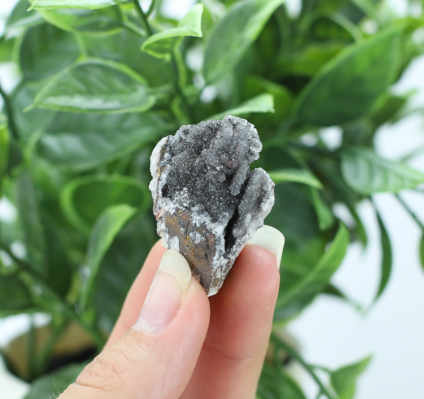 Manganese and Quartz