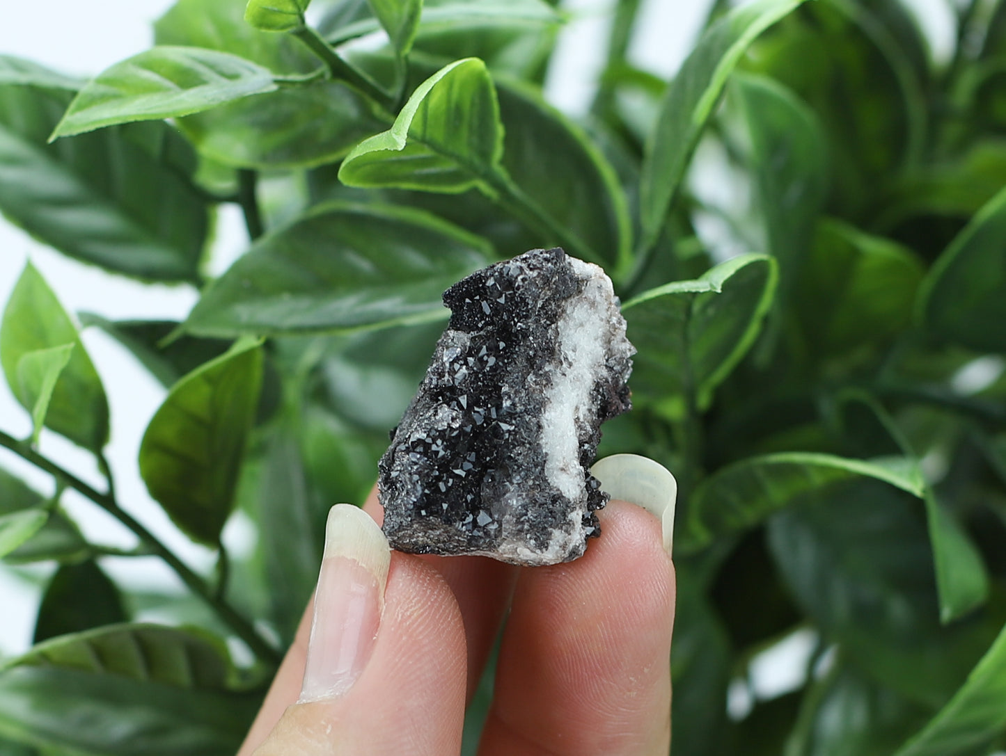 Manganese and Quartz