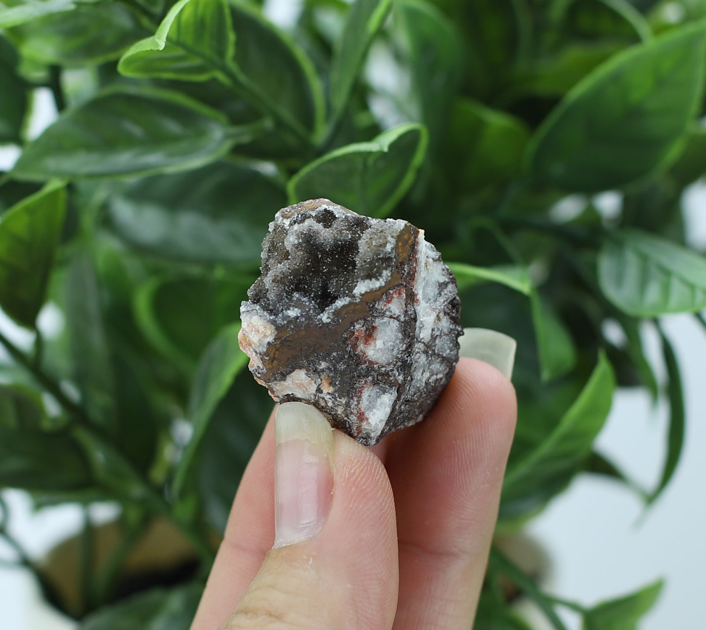 Manganese and Quartz