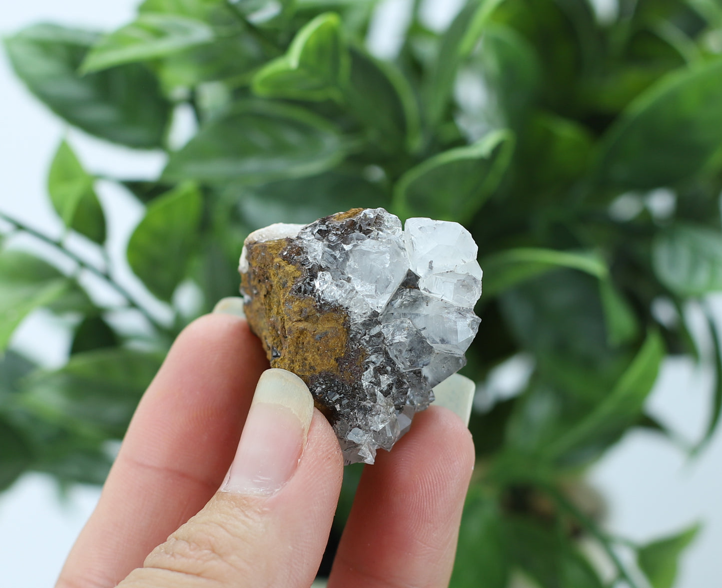 Manganese and Quartz