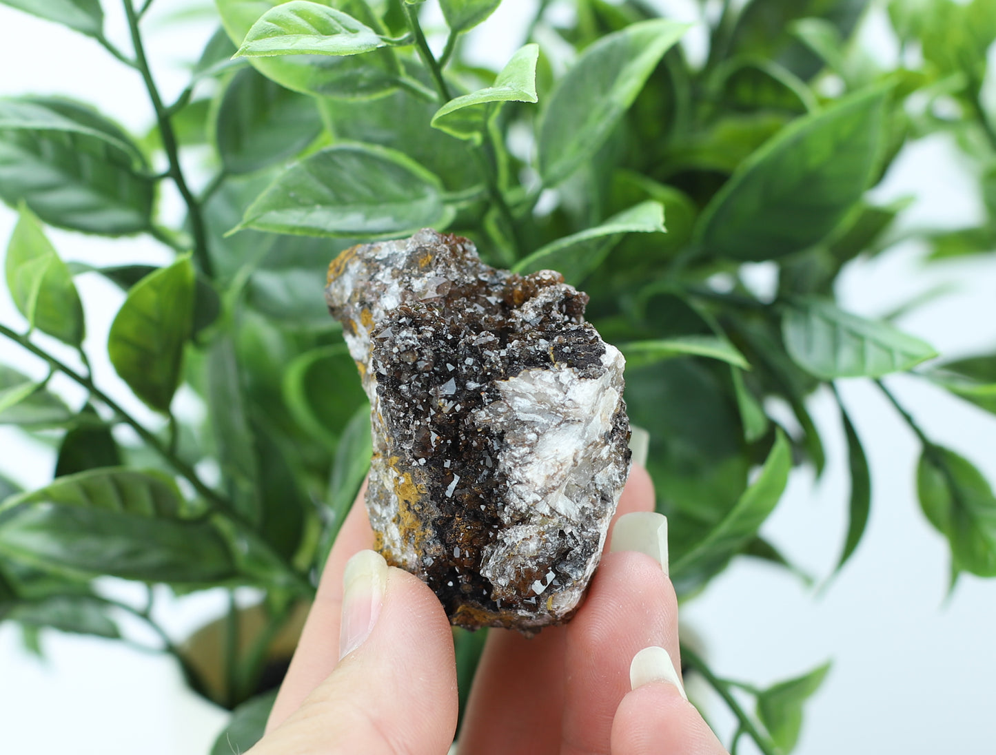 Manganese and Quartz