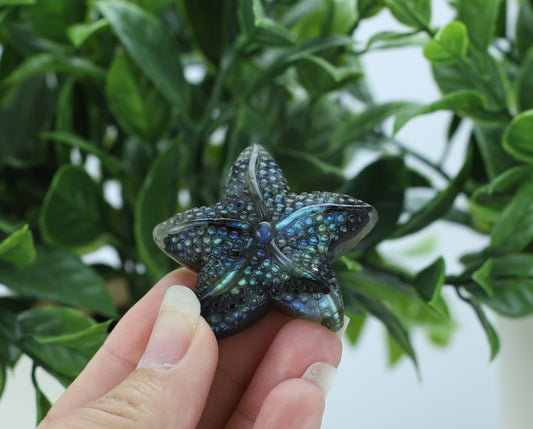 Labradorite Star Fish
