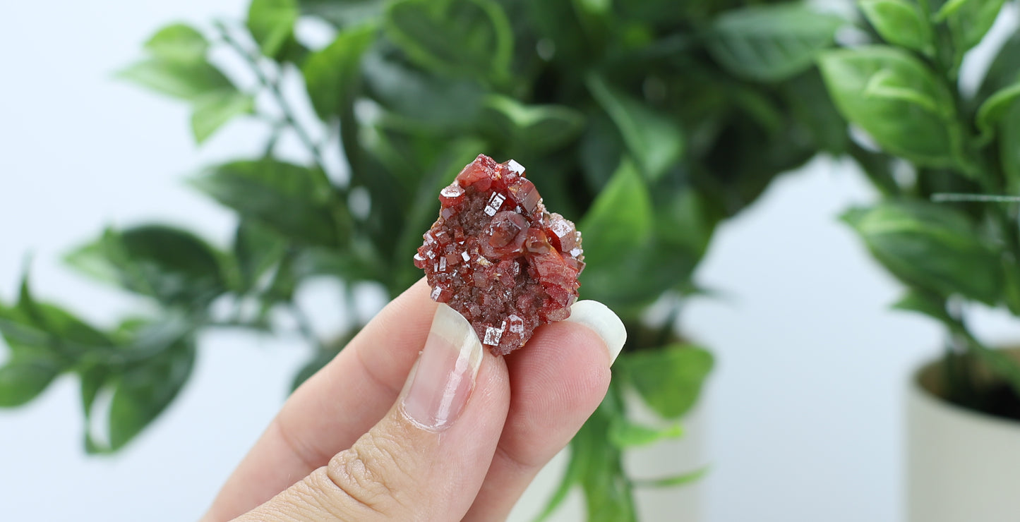Moroccan Vanadinite Specimen
