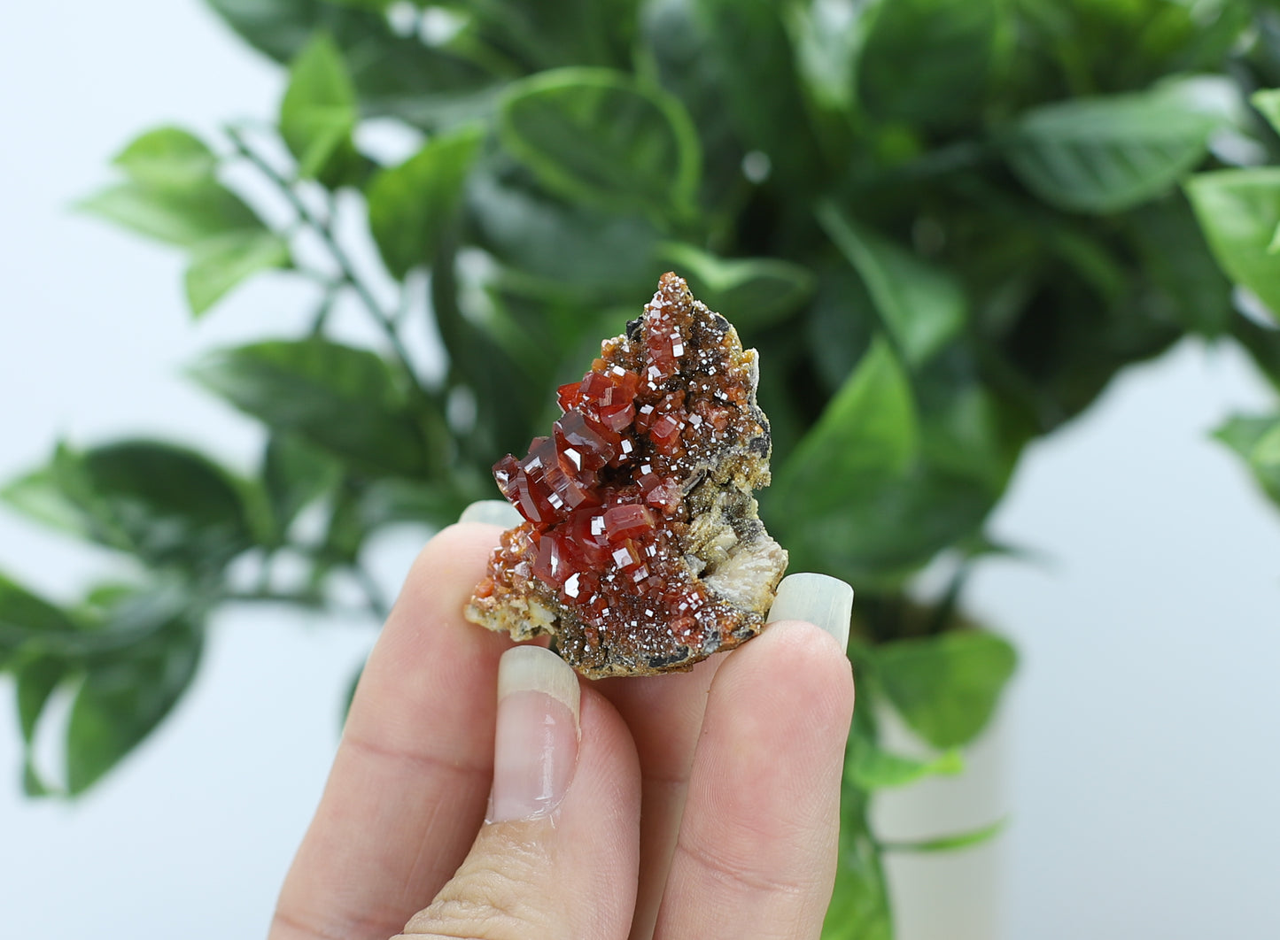 Moroccan Vanadinite Specimen