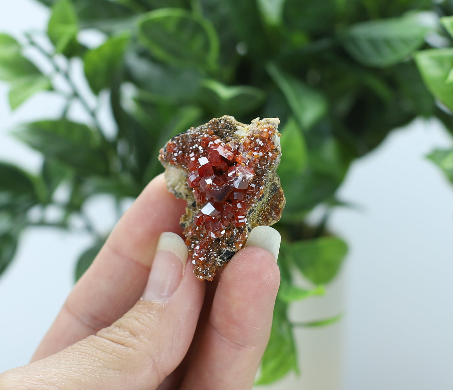 Moroccan Vanadinite Specimen