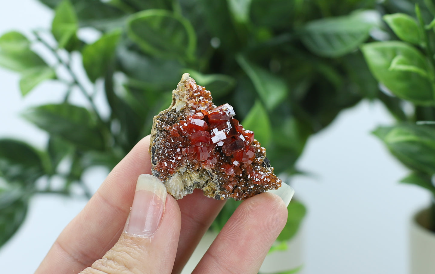Moroccan Vanadinite Specimen
