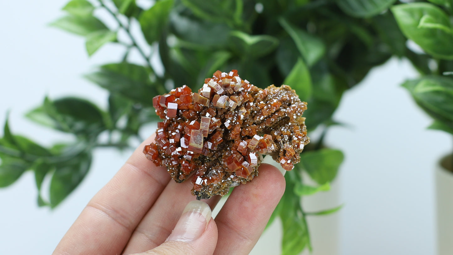 Moroccan Vanadinite Specimen