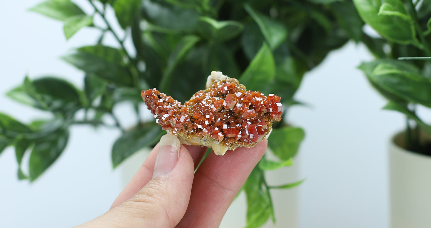 Moroccan Vanadinite Specimen