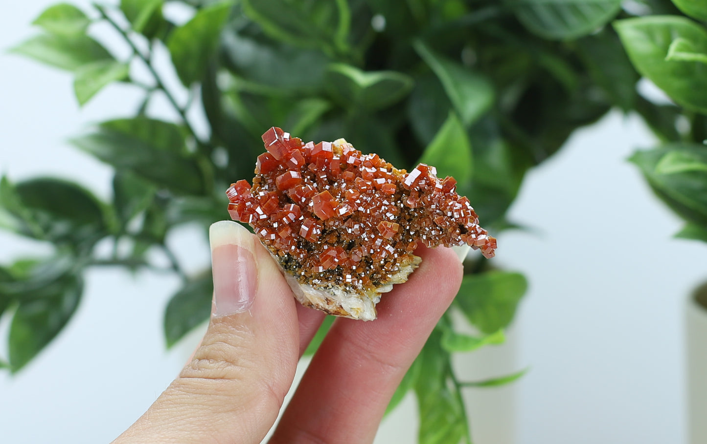 Moroccan Vanadinite Specimen