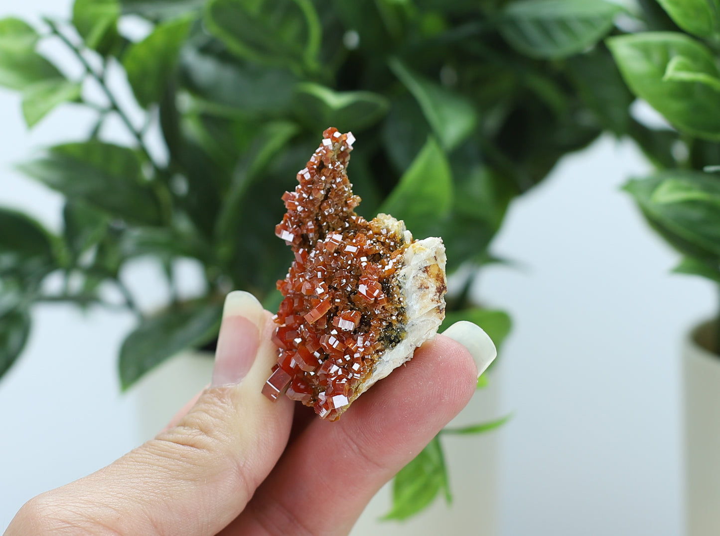 Moroccan Vanadinite Specimen