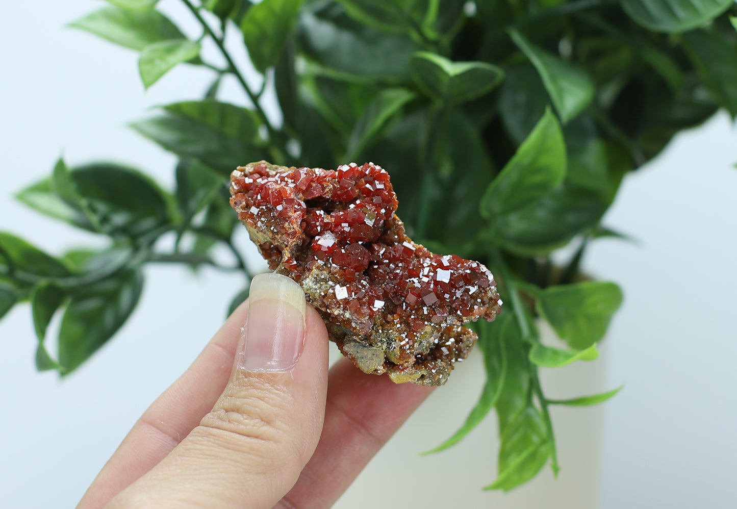 Moroccan Vanadinite Specimen