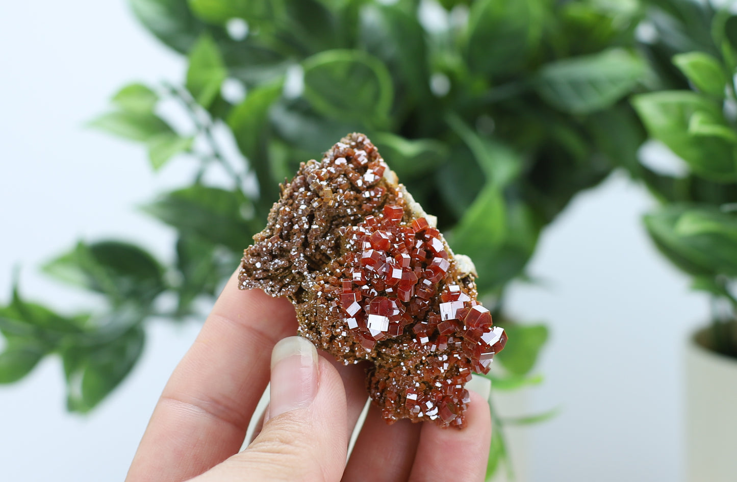 Moroccan Vanadinite Specimen