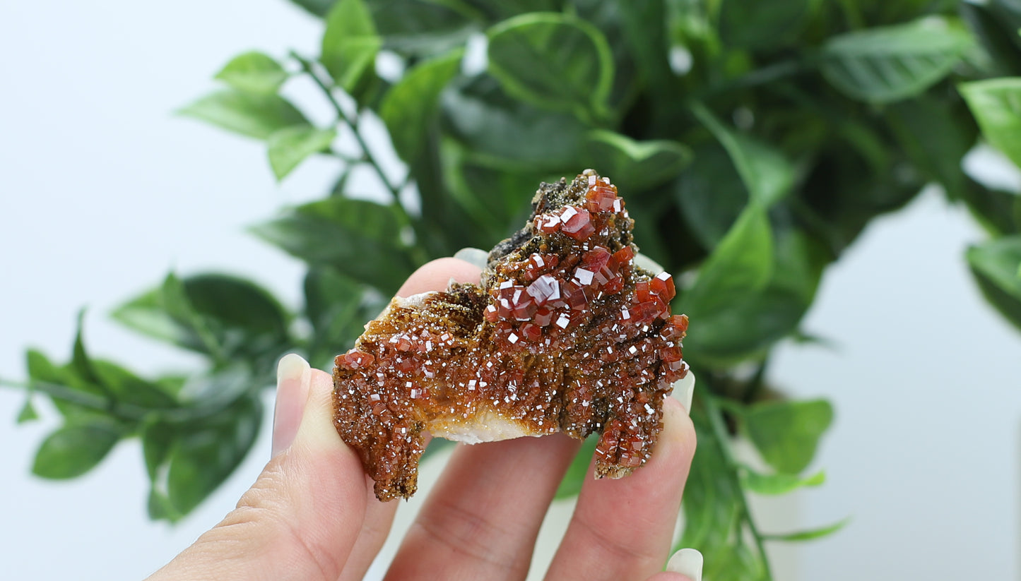 Moroccan Vanadinite Specimen