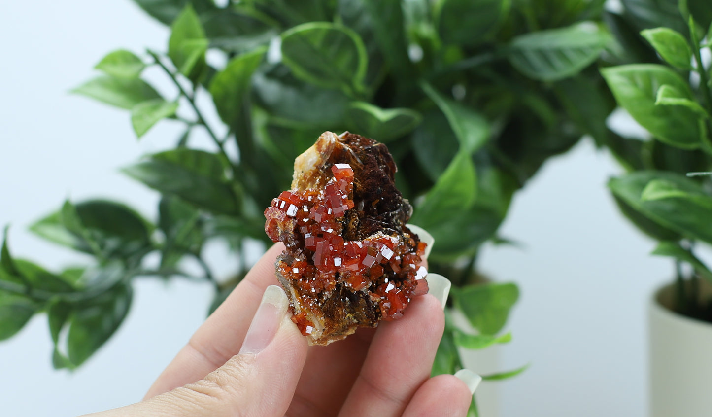 Moroccan Vanadinite Specimen