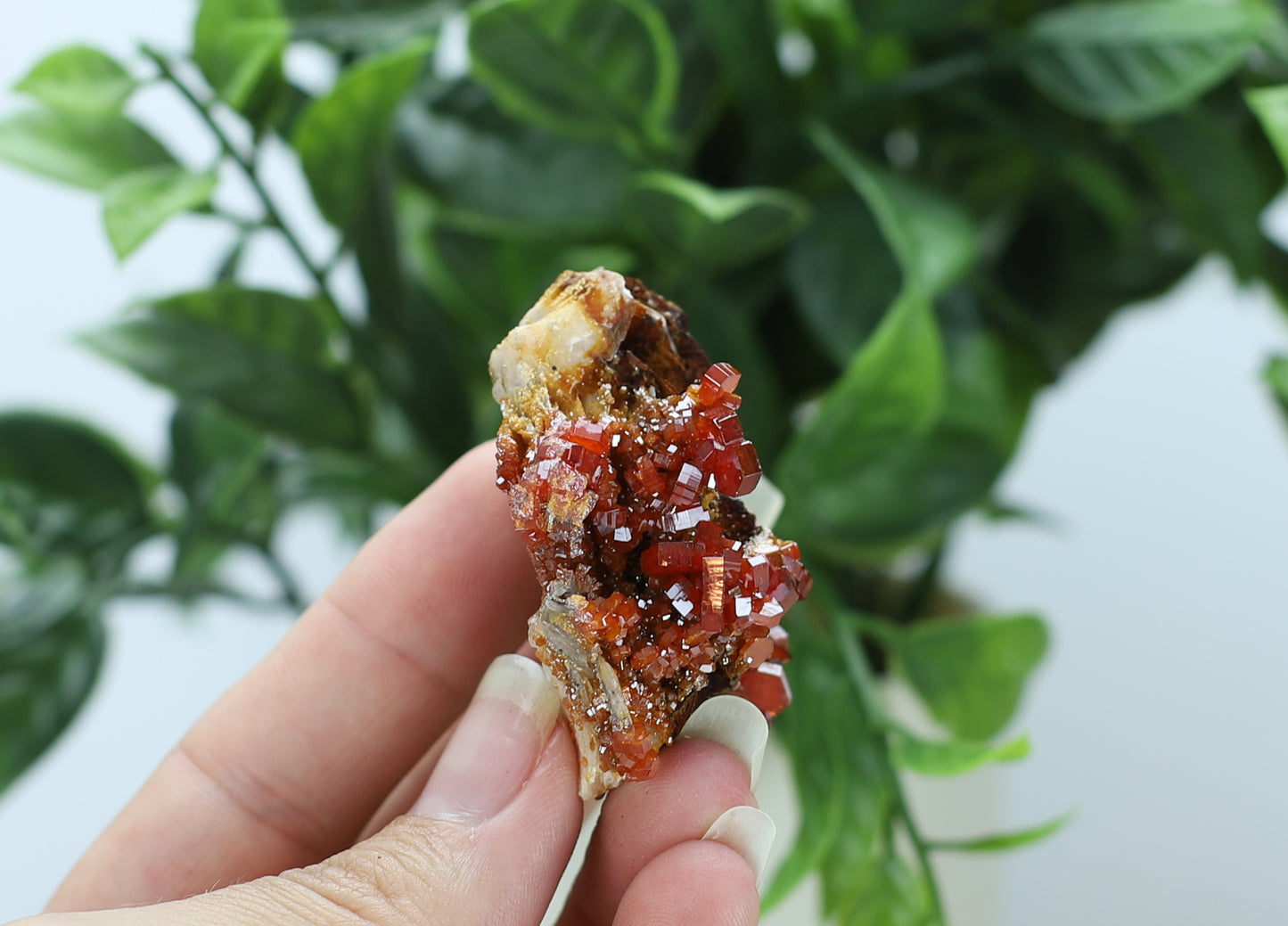 Moroccan Vanadinite Specimen