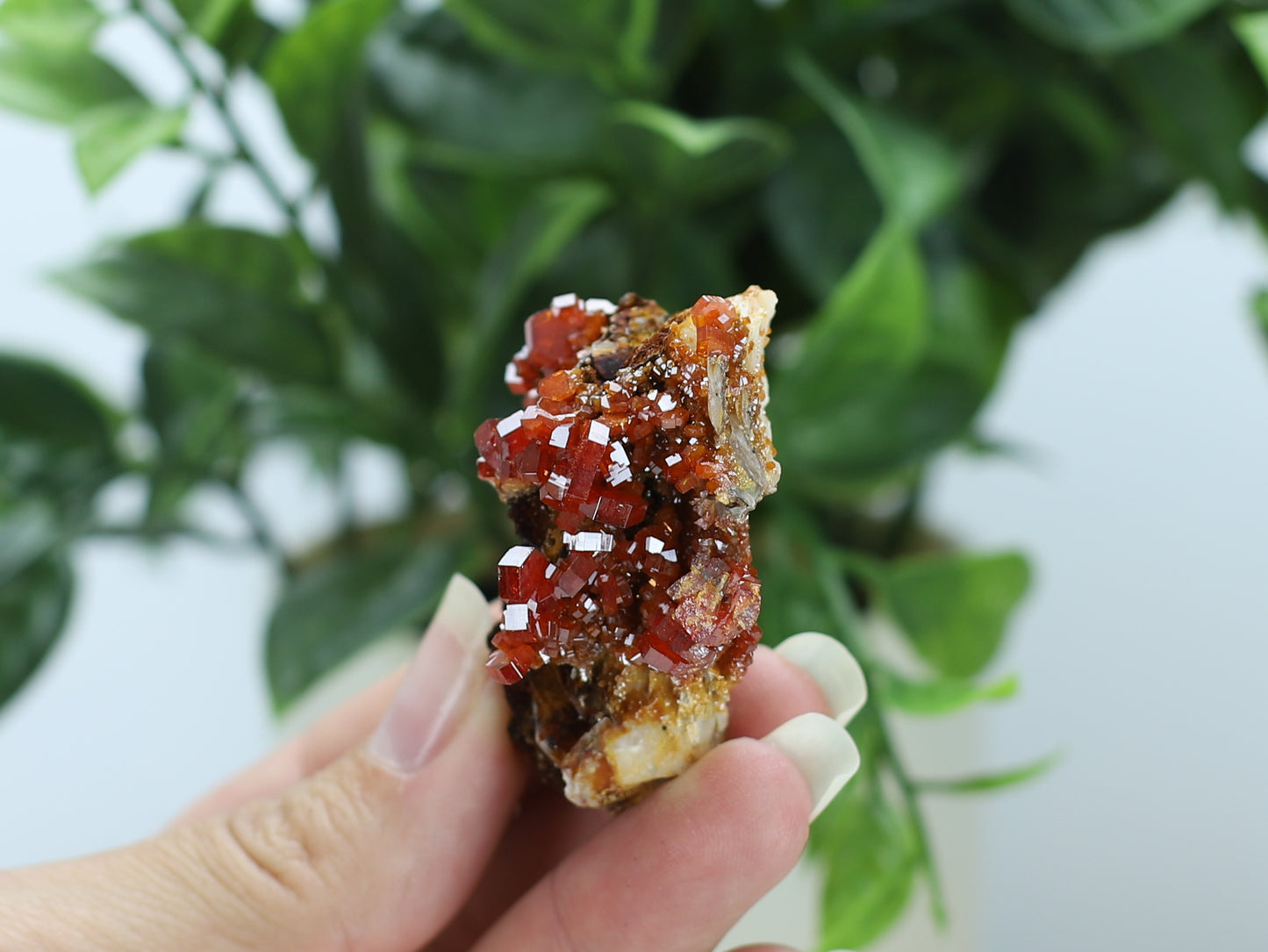 Moroccan Vanadinite Specimen