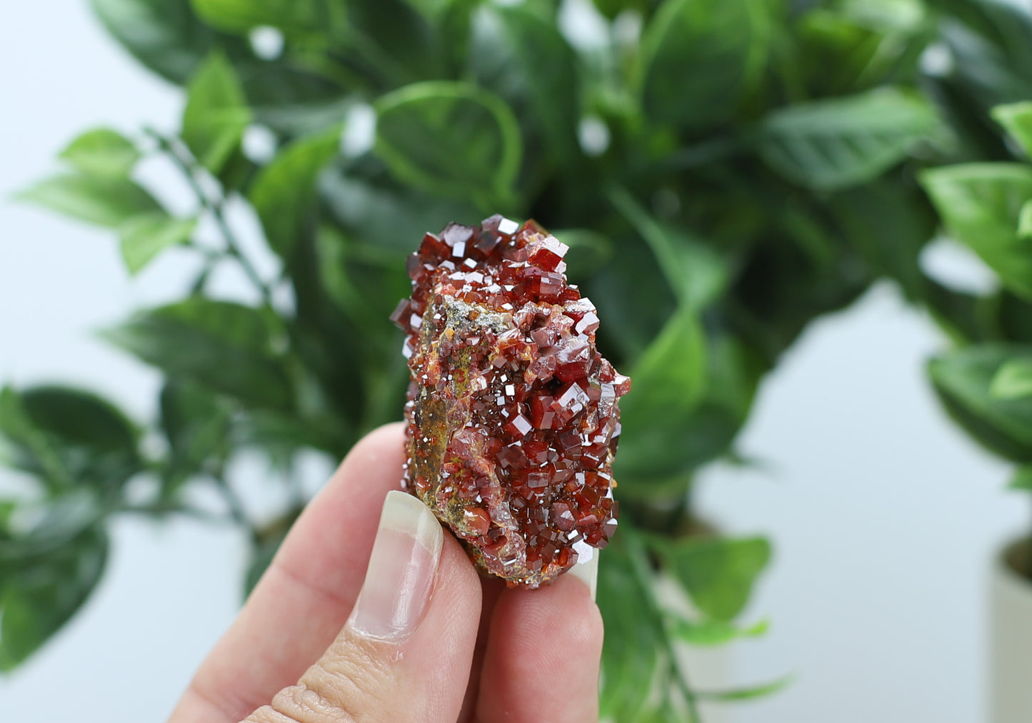 Moroccan Vanadinite Specimen