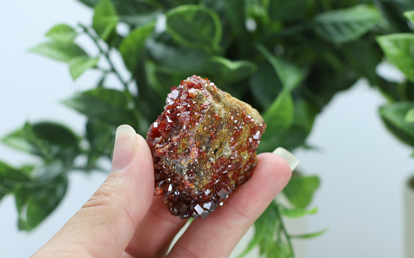 Moroccan Vanadinite Specimen