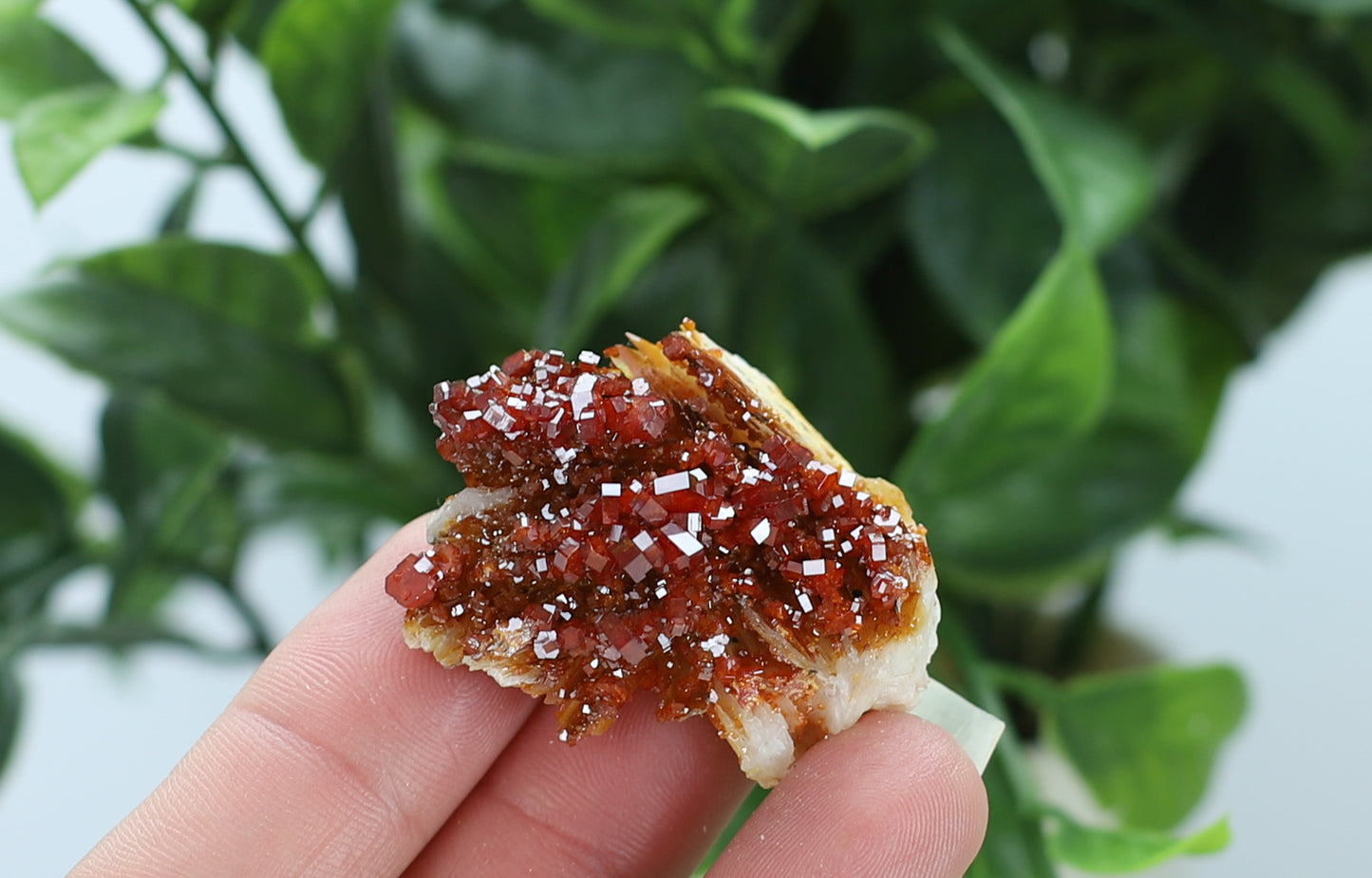 Moroccan Vanadinite Specimen