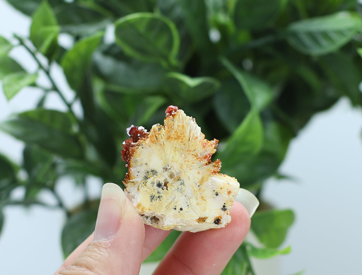 Moroccan Vanadinite Specimen