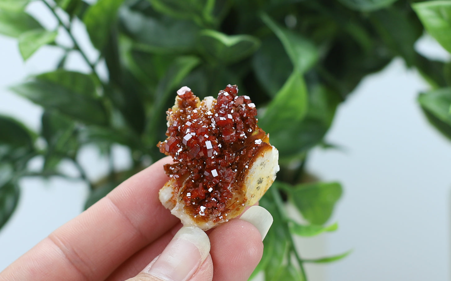 Moroccan Vanadinite Specimen