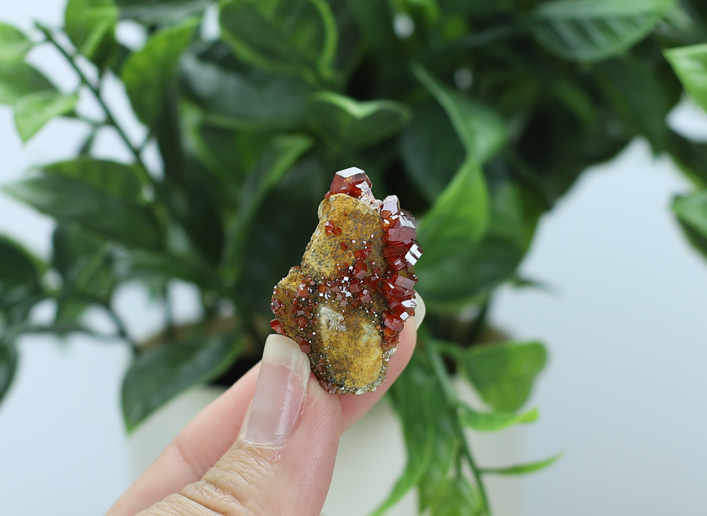 Moroccan Vanadinite Specimen