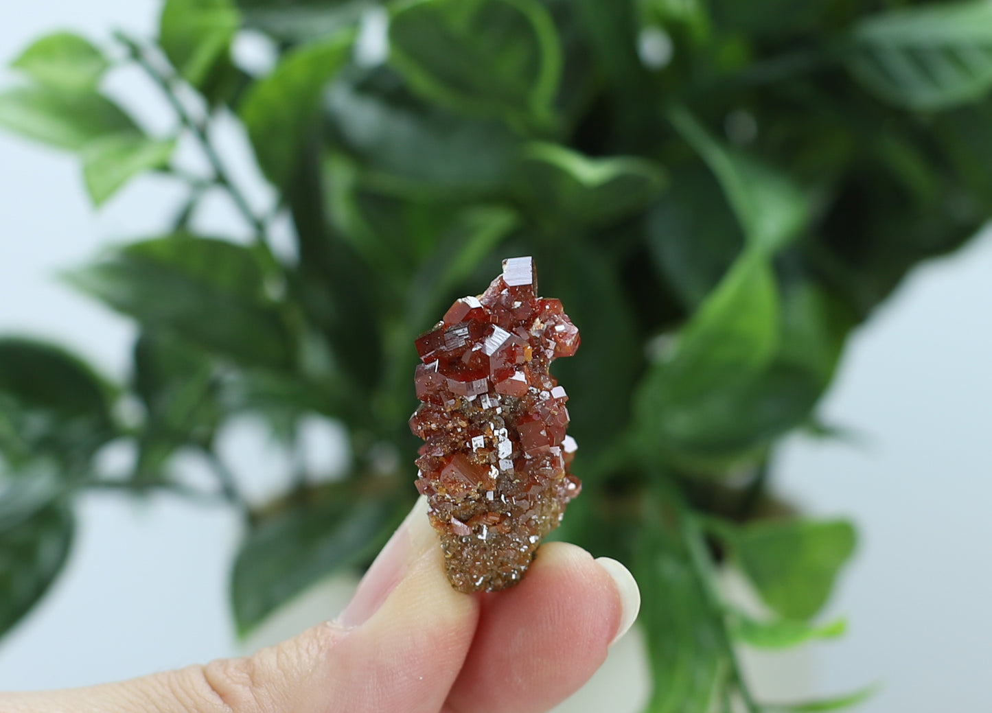 Moroccan Vanadinite Specimen