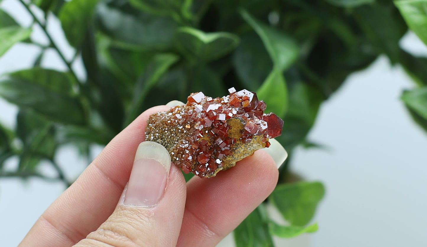 Moroccan Vanadinite Specimen