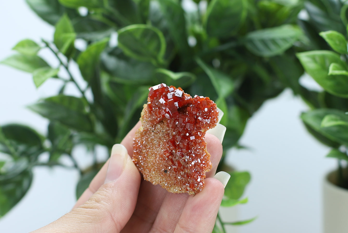 Moroccan Vanadinite Specimen