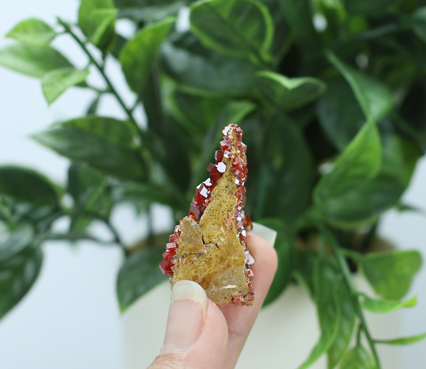 Moroccan Vanadinite Specimen